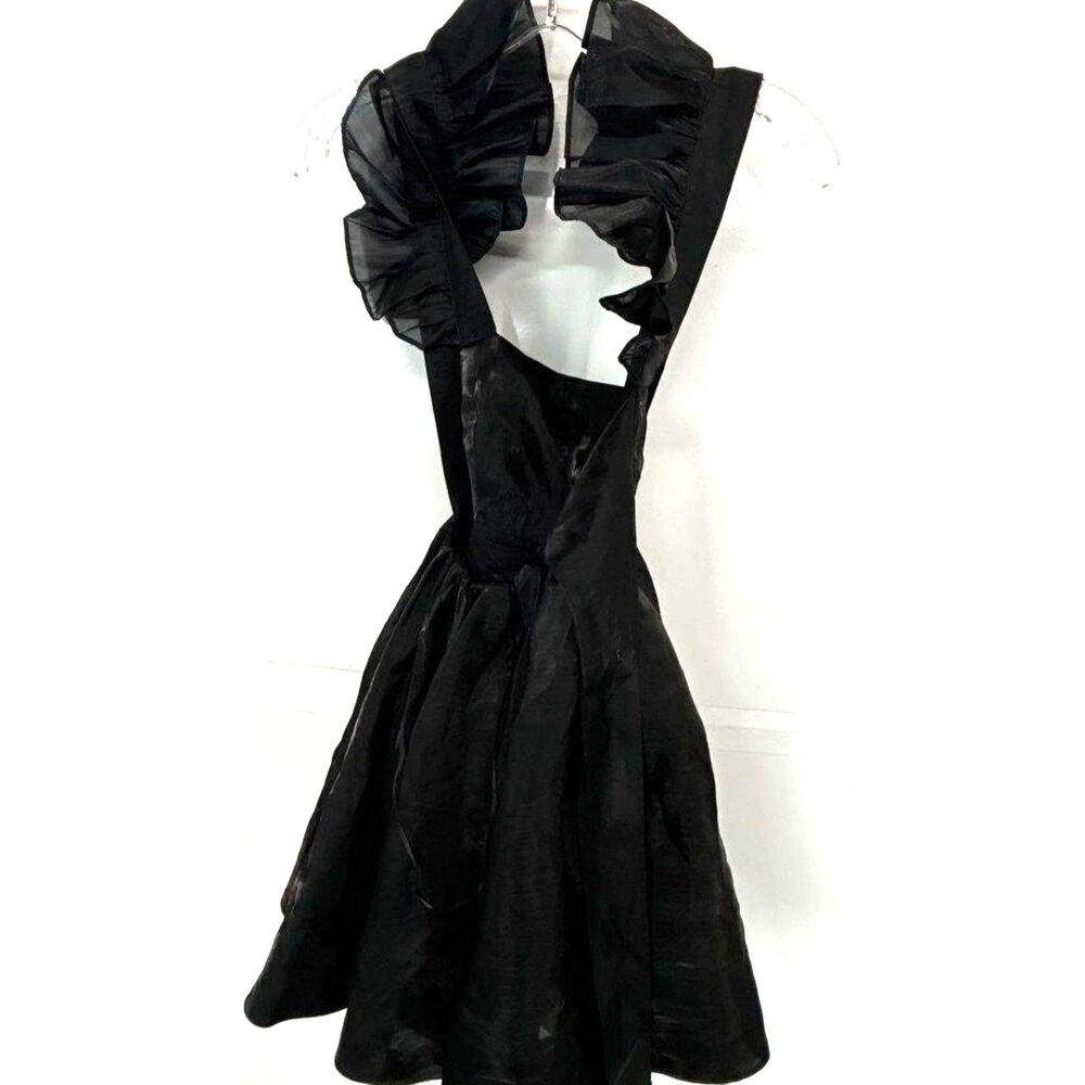 Altar'd State Black Organza Ruffle Neck Mini Dress NWT XS